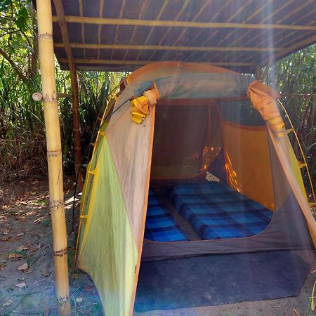 Rumi Wilco Ecolodge & Nature Reserve-Cabanas & Camping Вилькабамба Экстерьер фото